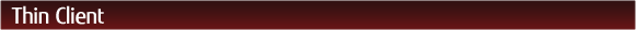 Thin Client