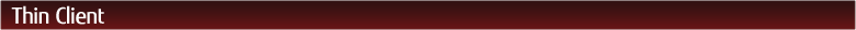 Thin Client